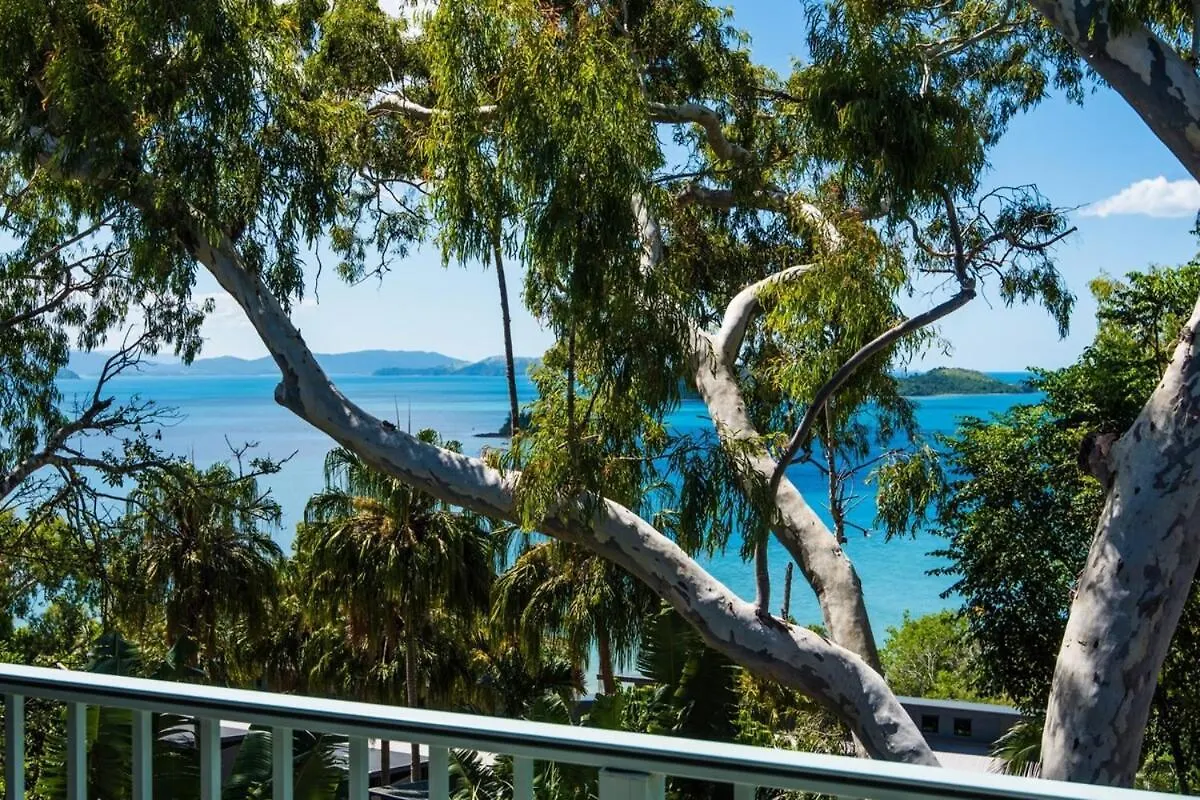 Sunset Waters 15 & Free Buggy- Hamilton Island
