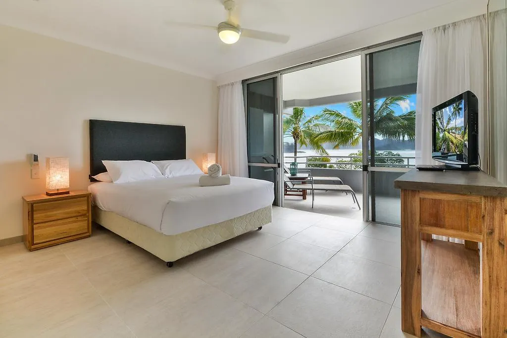 Frangipani 104 -